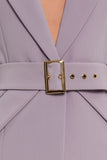 Purple Office Notch Lapel Long Sleeve Single Breasted Jacket
